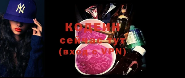 дурь Корсаков