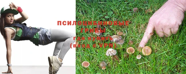 Альфа ПВП Коряжма