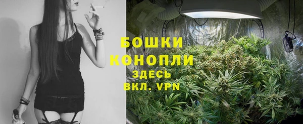 дурь Корсаков